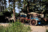 Inwa, Myanmar - tourists ride on a horse-drawn carriage. Riding on a horse cart is the easiest way to get around Inwa's narrow and dusty road to explore scatterred attractions. 